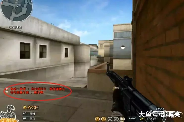 2025德玛西亚杯赛程安排出炉：12月17日开赛